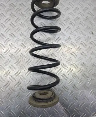 Skoda Octavia Mk2 (1Z) Rear coil spring