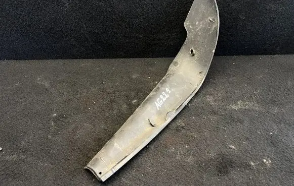 Rear/tail light trim molding