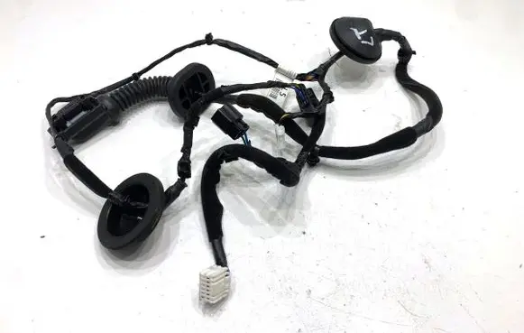 Hyundai Tucson TL Rear door wiring loom 91650D7050