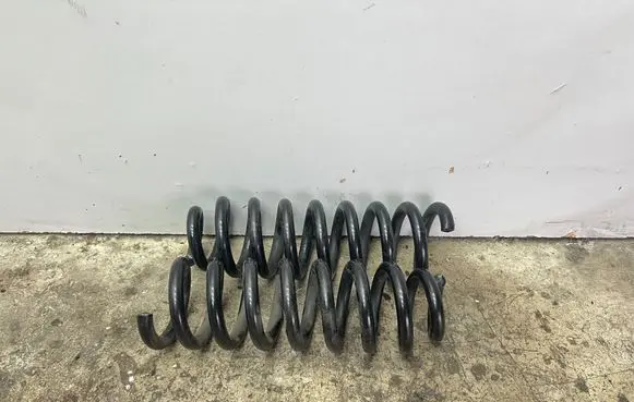 Rear coil spring