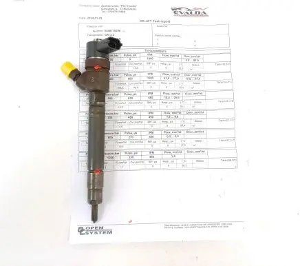 Volvo V70 Fuel injector 0445110298