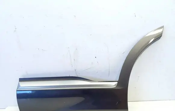 Hyundai Santa Fe Rear door trim (molding) 87731S1AC0