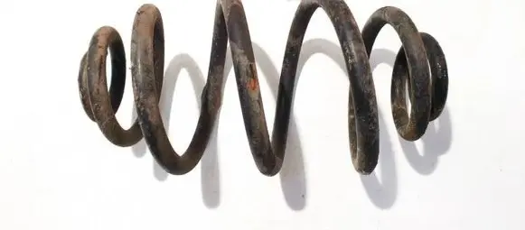 Volkswagen PASSAT B5.5 Rear coil spring