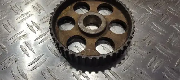 Volkswagen PASSAT B5 Camshaft pulley/ VANOS 069109111