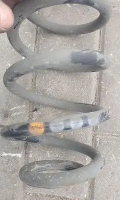 Rear coil spring