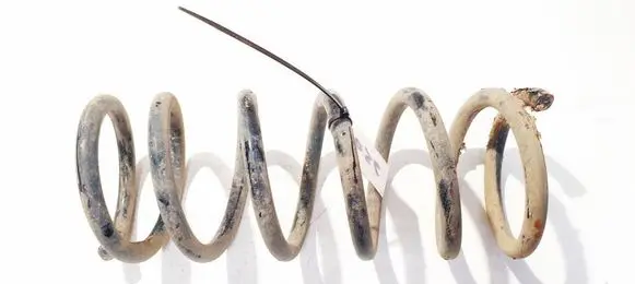 Rear coil spring