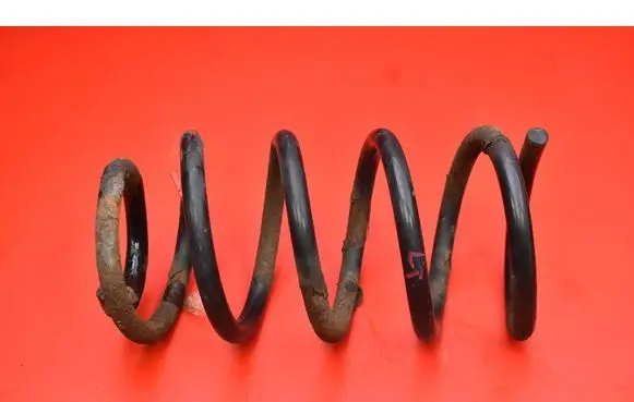 Rear coil spring