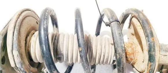 Citroen Xsara Picasso Front coil spring 