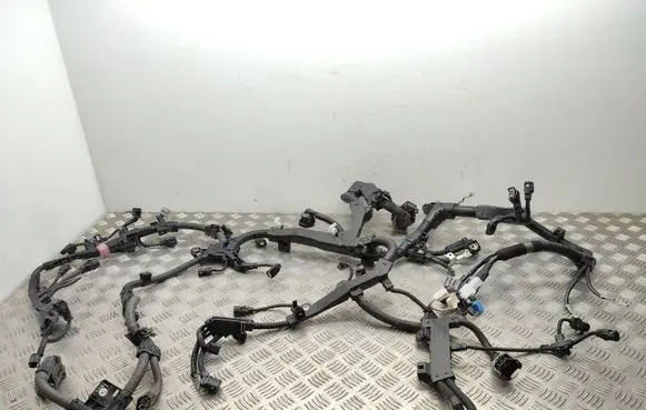 Toyota RAV 4 (XA50) Engine installation wiring loom 8212142N70D