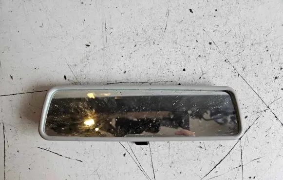 Volkswagen Tiguan Rear view mirror (interior) E1021065