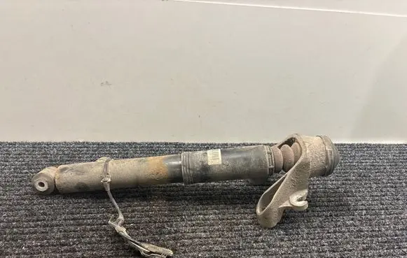 Rear shock absorber/damper