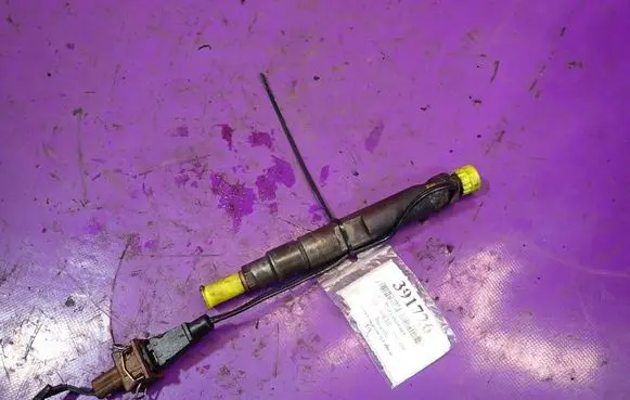 Volkswagen Golf IV Fuel injector 