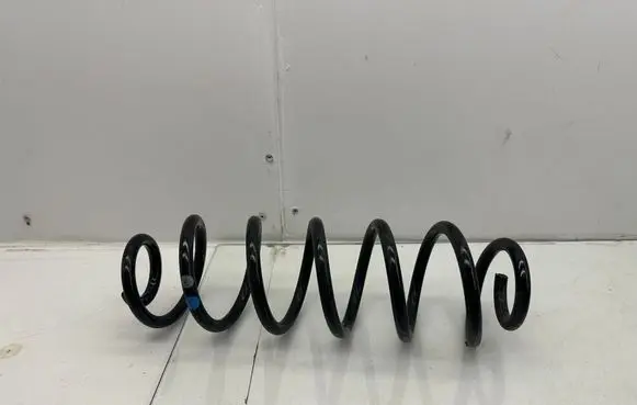 Rear coil spring
