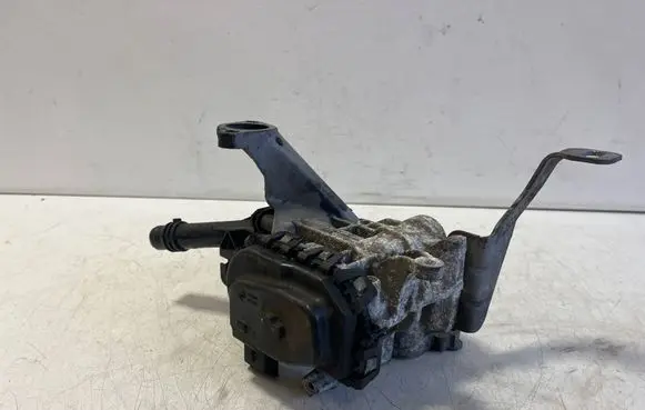 Peugeot Expert EGR valve 9807369980