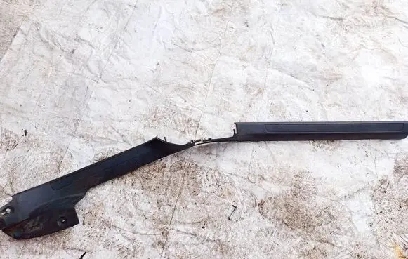 Volkswagen PASSAT B6 Front sill trim cover 3C0853369