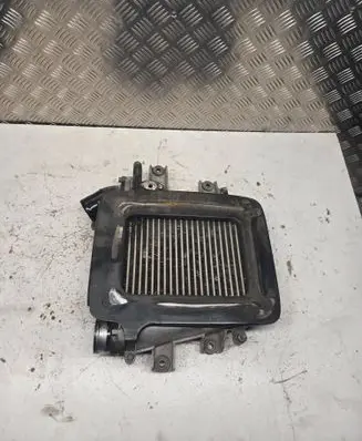 Nissan Terrano Intercooler radiator 