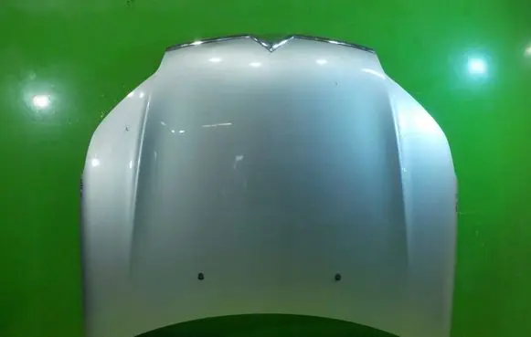 Citroen C5 Engine bonnet/hood WP62