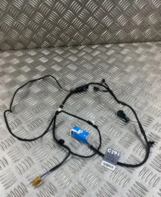 Audi Q5 SQ5 Front door wiring loom 80A971036