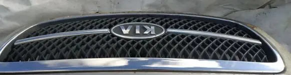 KIA Carnival Front grill