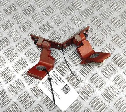 BMW Z4 E89 Front door hinges set 7198395 7198389