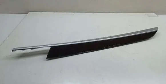 Other rear door trim element