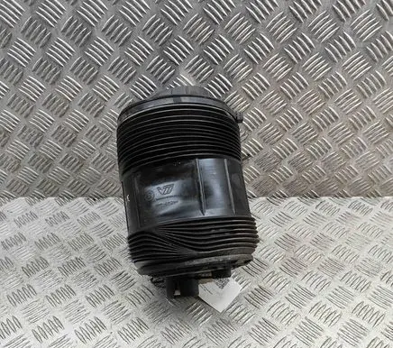 Rear air suspension bag/shock absorber