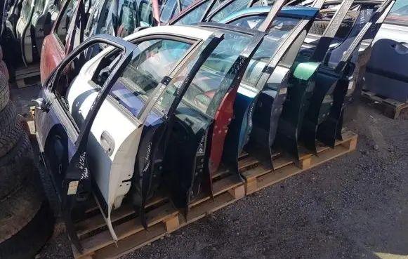 Renault Scenic I Front door pilkos