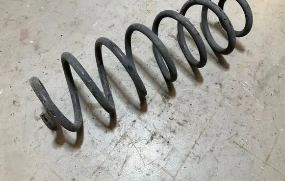 Rear coil spring