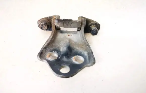 Rear door lower hinge