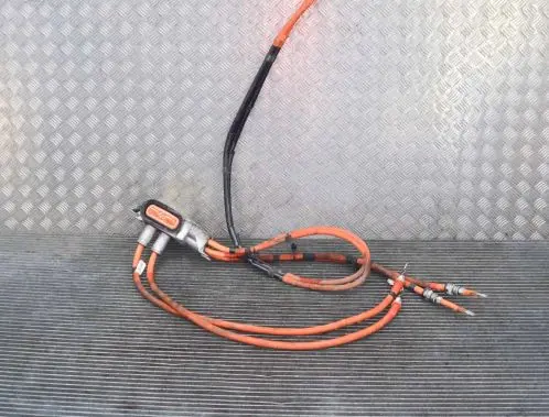 Tesla Model S Other wiring loom 109800010D 106260010C