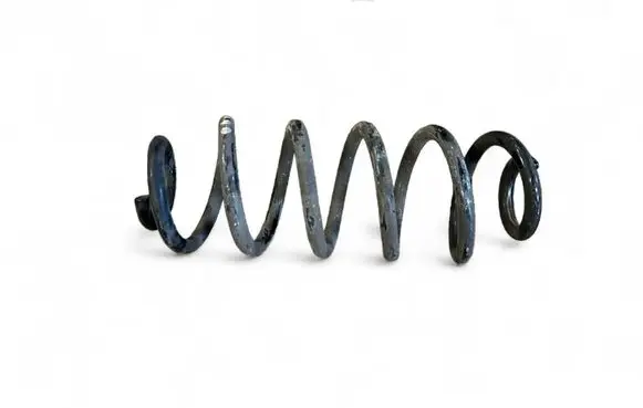 Rear coil spring