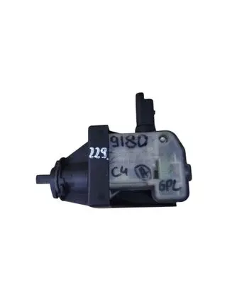 Citroen C4 I Fuel tank cap lock 9660019180