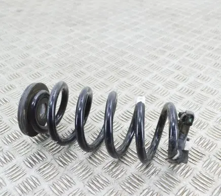 Volkswagen ID.3 Rear coil spring 1EA511103C 1EA512149