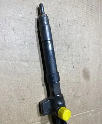 Citroen Jumper Fuel injector 9824388280