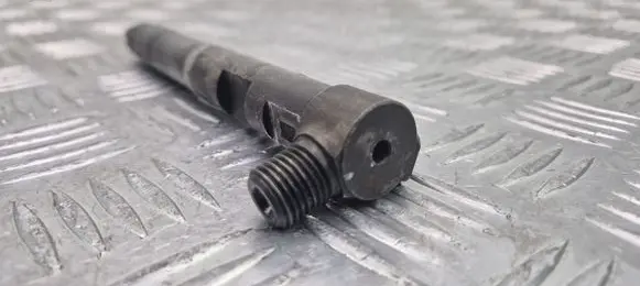 Mercedes-Benz Sprinter W906 Fuel injector A6510703087