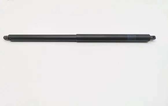 Tailgate strut