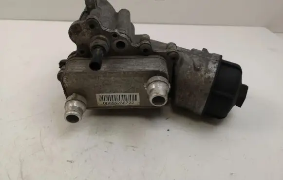 Opel Combo D Oil filter mounting bracket 55236722 B538L