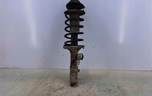 Hyundai Getz Front shock absorber with coil spring 