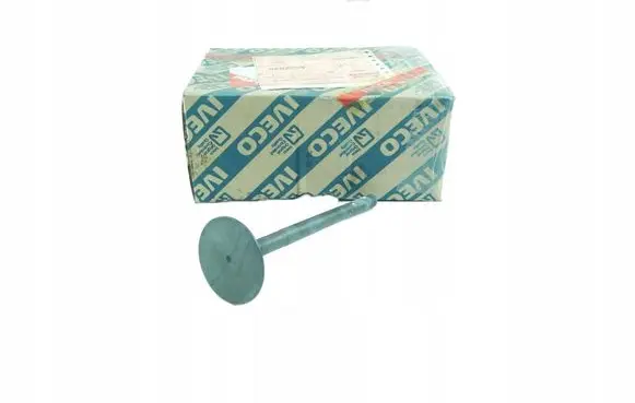 Fiat Iveco Daily Valve oil control 4632840