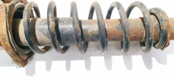 Toyota Corolla E120 E130 Rear coil spring