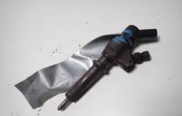 Citroen Berlingo Fuel injector 9636819380