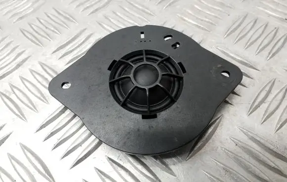 Panel speaker