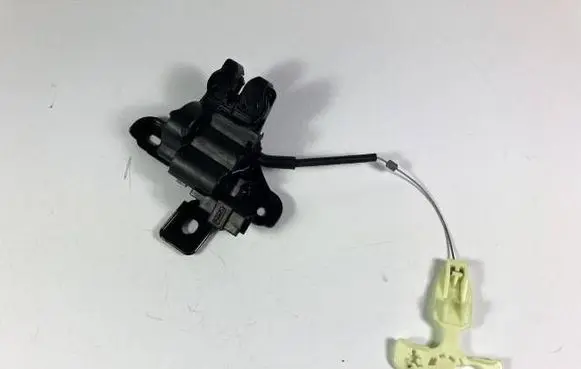 Ford Mustang VII Tailgate/trunk/boot lock/catch/latch FR3B6343282BB