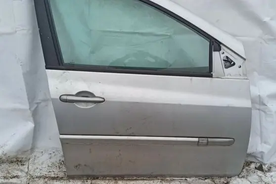 Renault Clio III Front door Sidabrine