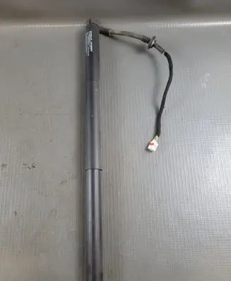 Tailgate/trunk strut/damper
