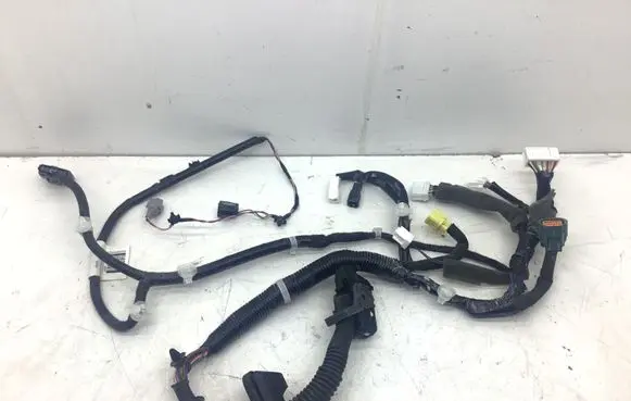 Nissan Leaf II (ZE1) Front door wiring loom 241255SH0A