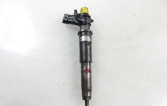 Renault Trafic II (X83) Fuel injector 0445115007