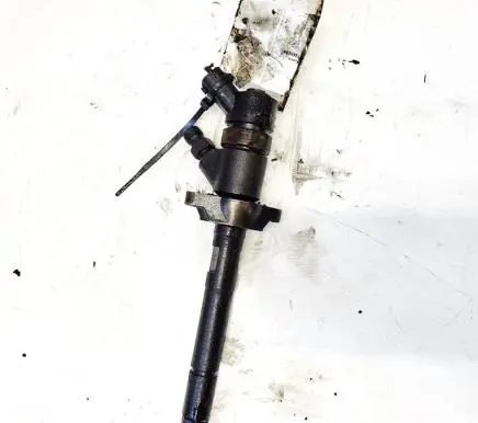 Citroen C4 I Fuel injector 0445110188