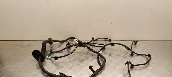 Tesla Model 3 Highland Front door wiring loom 189732102B