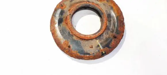 Coil spring mount